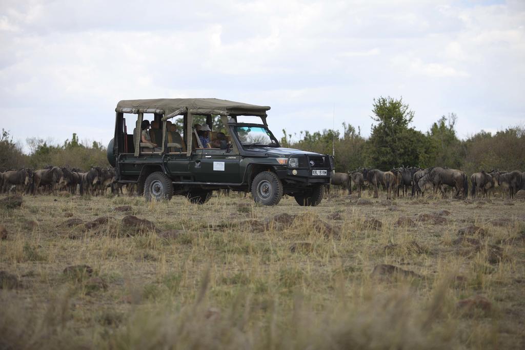 Ngerende In The Wild Riverview Maasai Mara Eksteriør billede