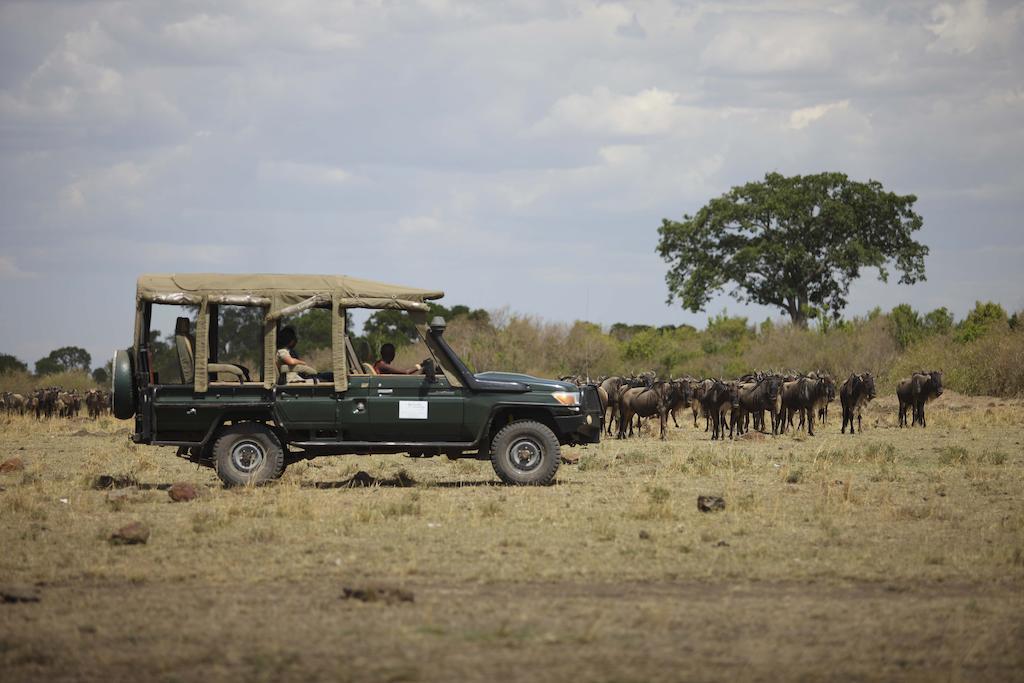 Ngerende In The Wild Riverview Maasai Mara Eksteriør billede